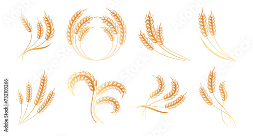 Set of spikelets of wheat, rye, barley. Golden design. Decor elements, logos, icons, vector
