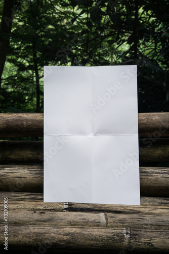 Blank Poster template for design above the leaves, mockup poster nature minimalist calm white 3 (ID: 732109005)