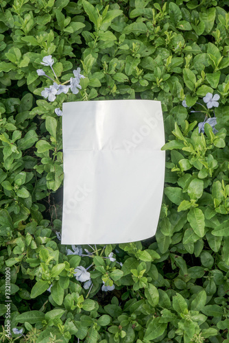 Blank Poster template for design above the leaves, mockup poster nature minimalist calm potrait leaf flower potrait