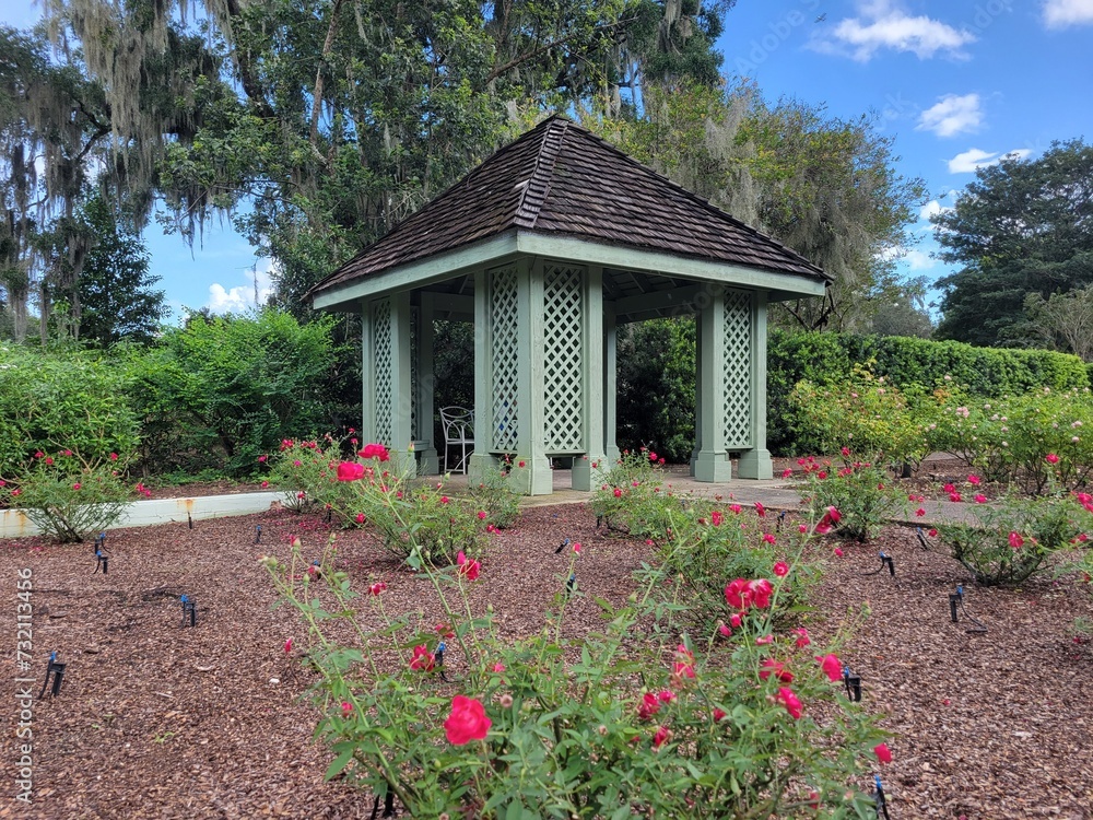 Red roses garden with a gazebo cozy backyard background photo picture ...