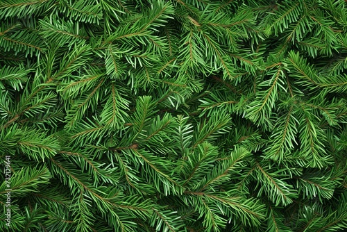 Christmas background with a close-up of green fir branches Embodying the festive spirit and the essence of the holiday season