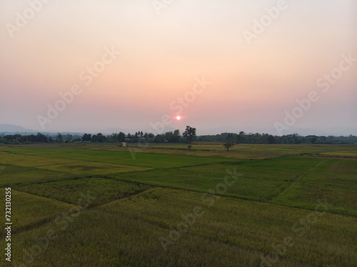 Sunset at agriculture green rice field