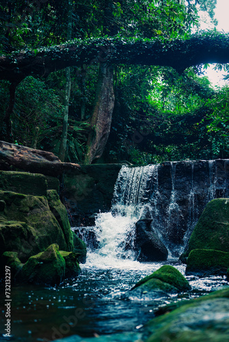 Secret Buddha Garden - Tarnim Magic Garden Tambon Na Mueang - Ko Samui District Tajlandia photo