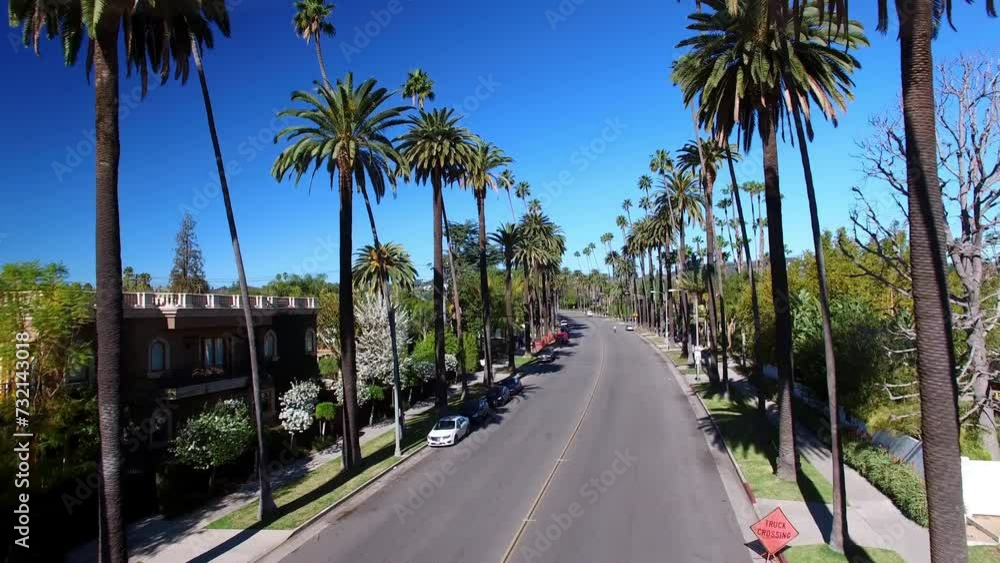 Aerial Shot Of Green Palm Trees In Residential City Against Clear Sky, Drone Ascending Forward On Sunny Day - Beverly Hills, California Aerial Shot Of Green Palm Trees In Residential City Against Clear Sky, Drone Ascending Forward On Sunny Day - Beverly Hills, California