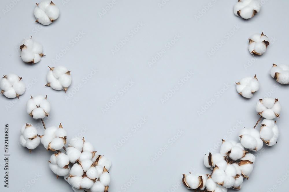 Beautiful cotton branches with fluffy flowers on light background, flat lay. Space for text