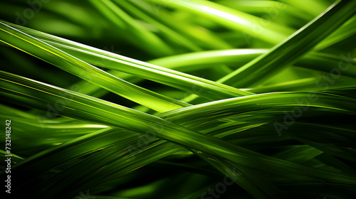 color background of abstract organic green line