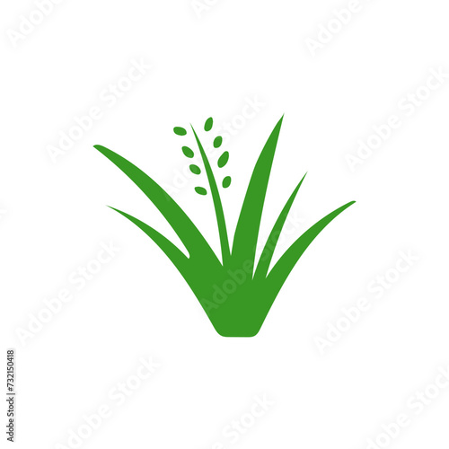 Grass icon and sign illustration photo