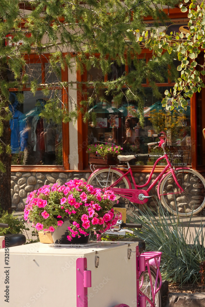 flowers on a bike by a shop in mountains