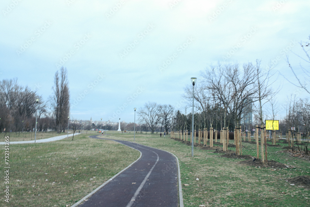 road in the park road in the park