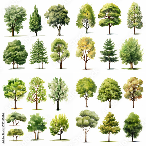 Assorted Trees in Different Seasons Watercolor Collection - Vibrant Botanical Art Set