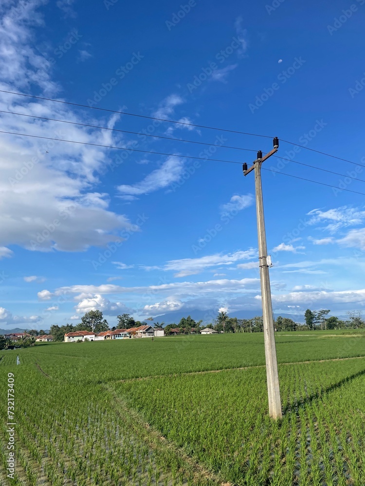 Obraz premium field and blue sky