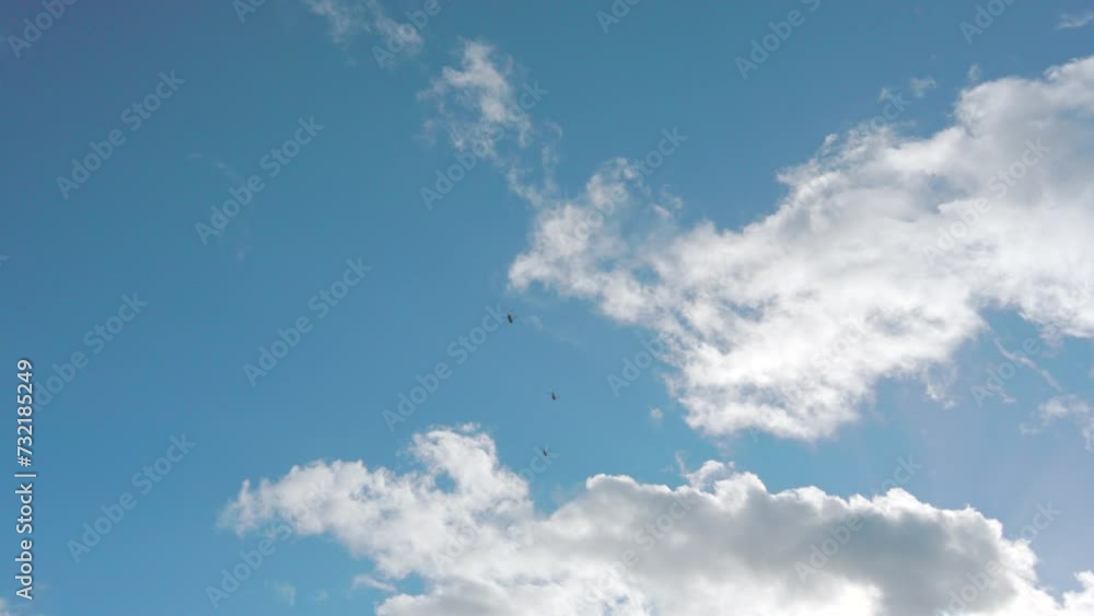 3 military helicopters flying over Honolulu with picturesque natural landscape with an azure sky adorned by fluffy white clouds at Oahu island in Hawaii usa 3 military helicopters flying over Honolulu with picturesque natural landscape with an azure sky adorned by fluffy white clouds at Oahu island in Hawaii usa