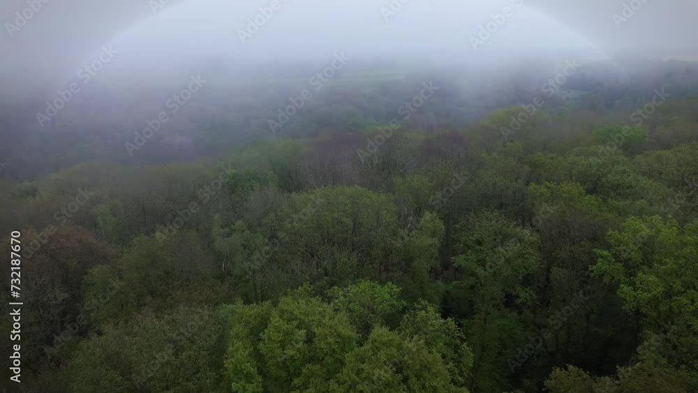 Aerial video of the green dense forest on a foggy cloudy day Aerial video of the green dense forest on a foggy cloudy day