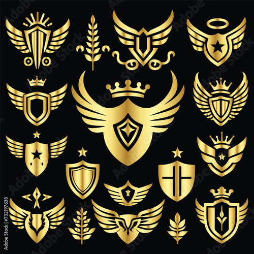 shield with laurel wreath heraldry vector