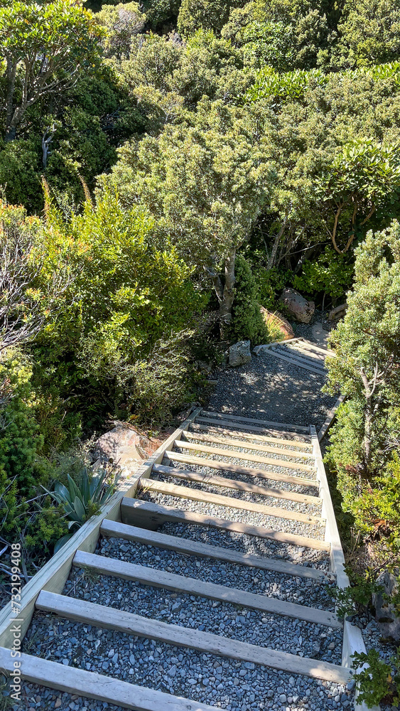Some of the 3300 steps on the Sealy Tarns Track walk in Mt Cook National Park Some of the 3300 steps on the Sealy Tarns Track walk in Mt Cook National Park