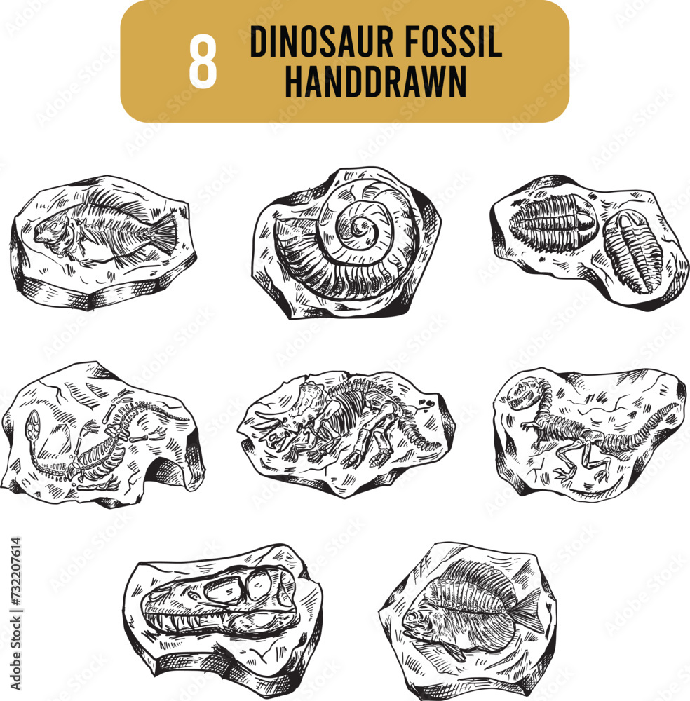 Dinosaur Fossil Handdrawn isolated on white background. Design element for logo, label, sign, emblem, poster. Vector illustration Dinosaur Fossil Handdrawn isolated on white background. Design element for logo, label, sign, emblem, poster. Vector illustration