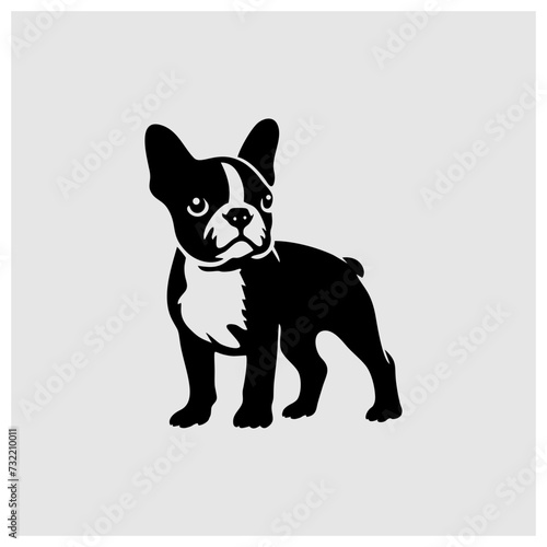 boston terrier standing silhouette stencil vector photo