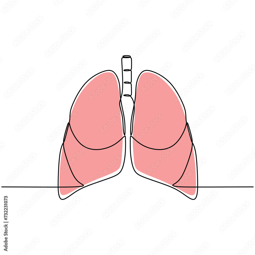 Fototapeta premium Lungs human organ one line drawing. Continuous single outline lung anatomical body. Vector illustration minimalist.