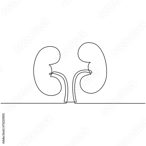 Kidney health one line human organ. Continuous icon anatomy of medical concept vector illustration.