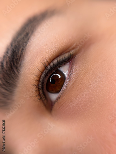 Fototapeta Naklejka Na Ścianę i Meble -  permanent eyeliner makeup close up. Healthy and clean skin young woman