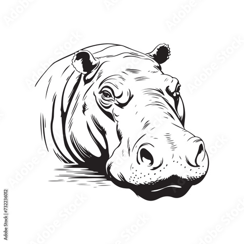 Hippopotamus  hippo logo  dangerous animals