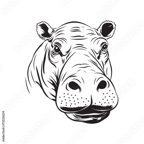 Hippopotamus, Hippo logo, Hippo head vector illustration isolated on white background