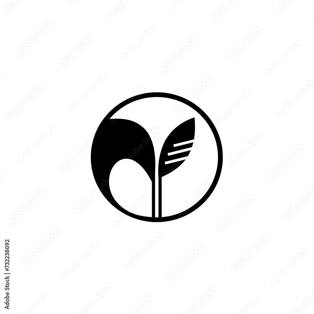 black and white leaf black and white leaf