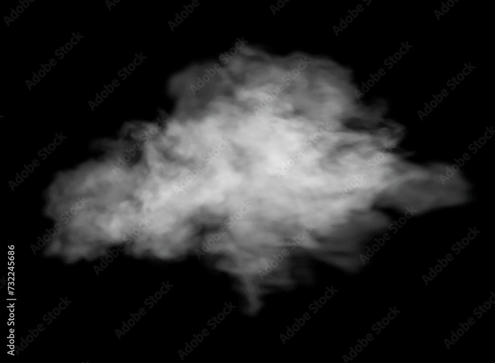 Fog or smoke isolated transparent special effect. White vector cloudiness, mist or smog background. Fog or smoke isolated transparent special effect. White vector cloudiness, mist or smog background.