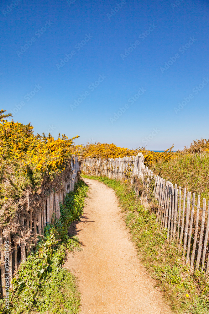 Path through sand dunes near Port Bara, Quiberon Peninsula, Brittany, France.