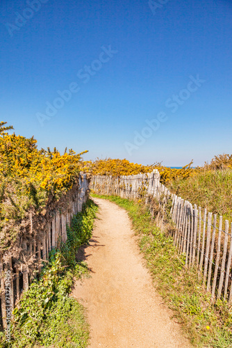 Path through sand dunes near Port Bara  Quiberon Peninsula  Brittany  France.