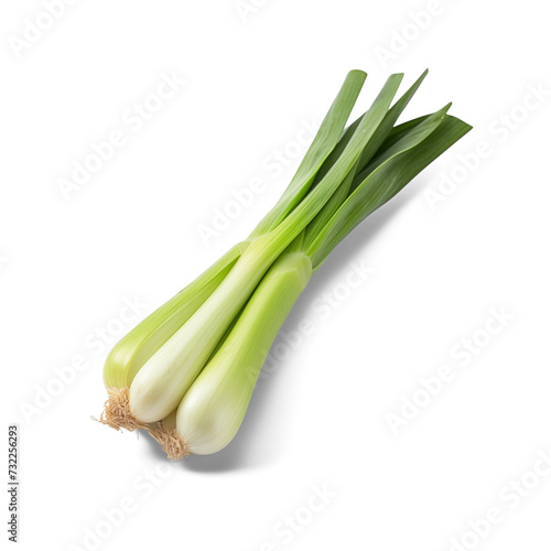 Bunch of spring onions isolated on white background
