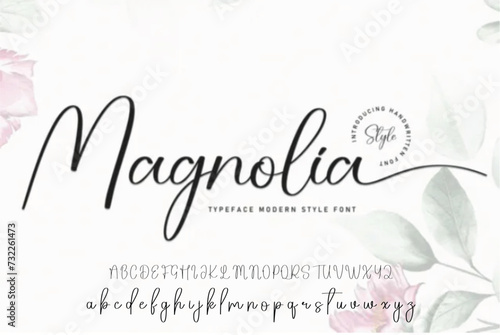 Lettering signature font isolated on grey background. brus style alphabet. Vector logo letters. photo