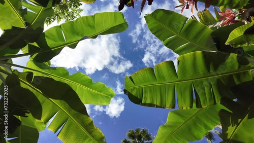 Hawaii - North Side of Oahu