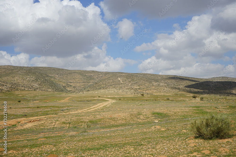 Arad Valley