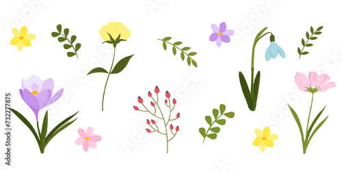 trendy Hand drawn abstract wildflowers, set spring flowers and leaves, flat icons. Vector illustration