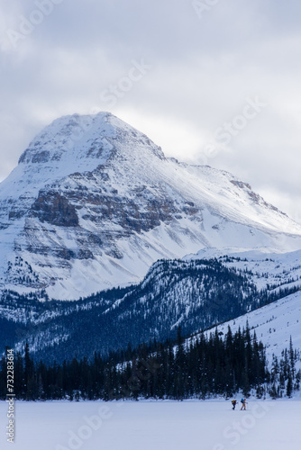 Group of cross country skiers seen from afar in front of the snowy Canadian Rocky Mountains in the Banff National Park