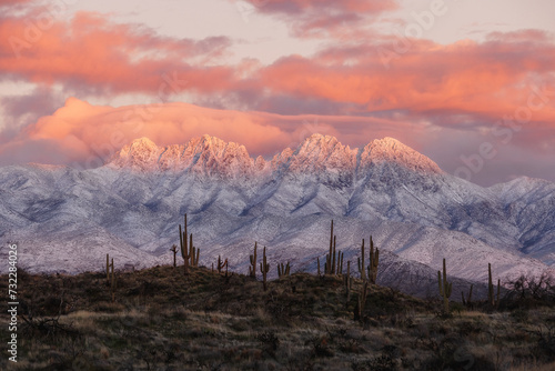 Four Peaks in Arizona covered in snow with saguaro cacti at sunset with a pink and gold sunset photo