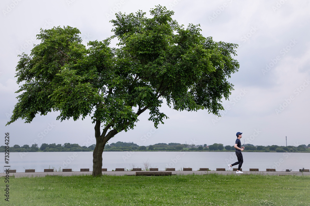 Fototapeta premium 湖畔の公園をジョギングをする男性