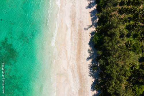 Turquoise waters, fine white sand, and pine trees lined up.