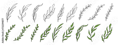 Outline branches with leaves. Contour leaf with color and empty. Botanical design elements set
