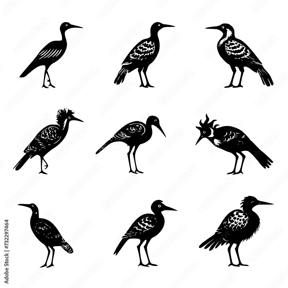 bird, birds, animal, vector, illustration, cartoon, set, cute, duck, owl, nature, animals, drawing, design, icon, sparrow, collection, feather, art, flying, wing, wild, wildlife, robin, pattern, sprin bird, birds, animal, vector, illustration, cartoon, set, cute, duck, owl, nature, animals, drawing, design, icon, sparrow, collection, feather, art, flying, wing, wild, wildlife, robin, pattern, sprin