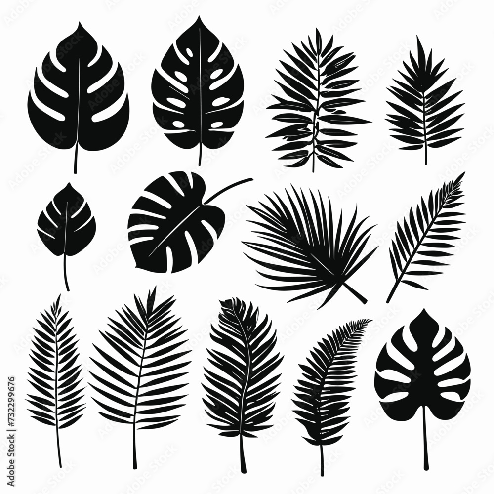 Exotic leaves set tropical leaf collection monstera palm leaves silhouette pack Exotic leaves set tropical leaf collection monstera palm leaves silhouette pack