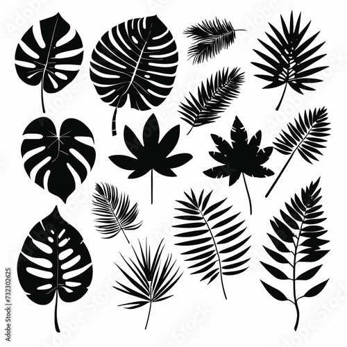 Exotic leaves set tropical leaf collection monstera palm leaves silhouette pack