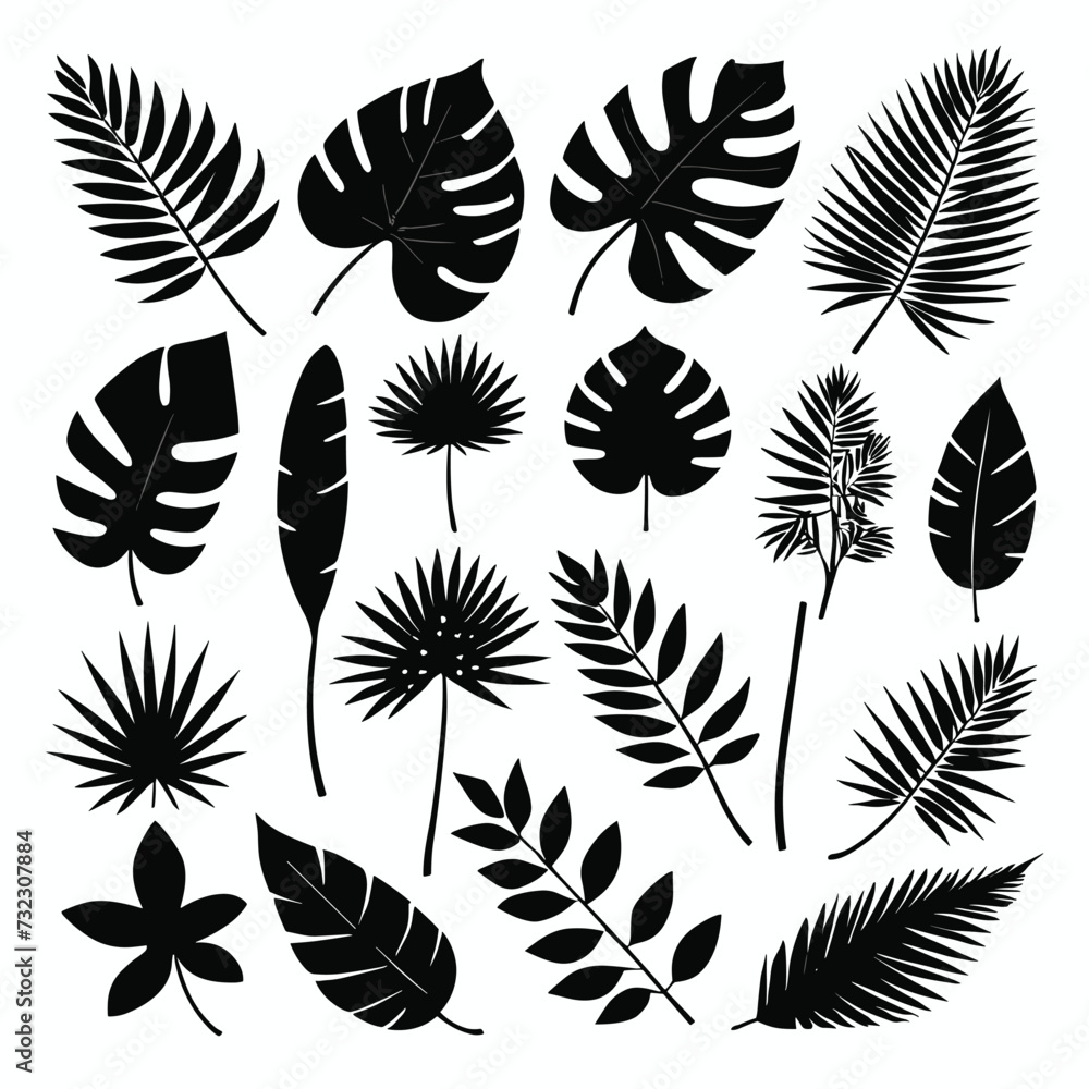 Exotic leaves set tropical leaf collection monstera palm leaves silhouette pack Exotic leaves set tropical leaf collection monstera palm leaves silhouette pack