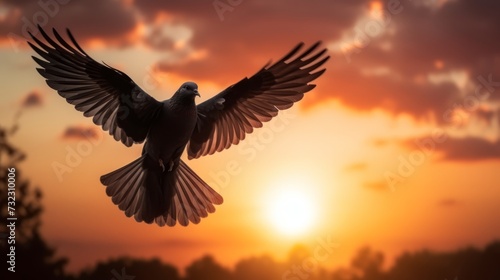 Pigeon silhouette soaring into open hands against radiant sunrise/sunset sky - symbol of freedom and merit-making