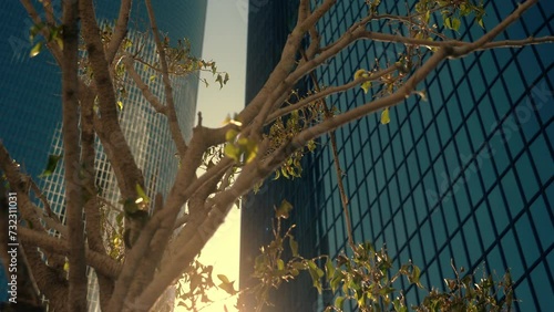 Los Angeles, California, United States – April 10, 2019: City National Bank building. City National Bank headquarter in Downtown Los Angeles. Skyscraper office tower with sun rays through tree.