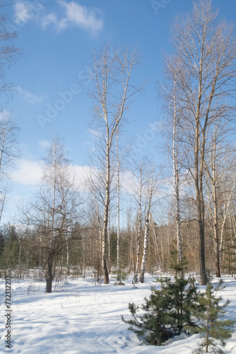 blue sky in winter with white clouds © Prikhodko