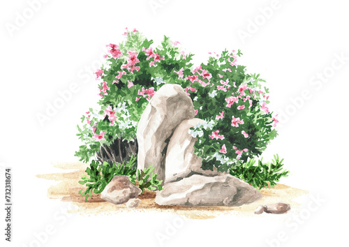 Fototapeta Naklejka Na Ścianę i Meble -  Stone and southern oleander  shrub with pink and white flowers. An element of tropical nature.  Hand drawn watercolor illustration isolated on white background