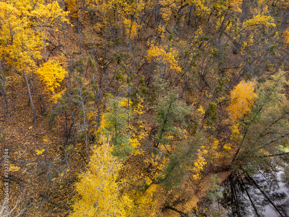 Autumn aerial drone look down view on river with colorful golden trees on riverbanks. Autumnal vibrant Siverskyi Donets River in Ukraine Autumn aerial drone look down view on river with colorful golden trees on riverbanks. Autumnal vibrant Siverskyi Donets River in Ukraine