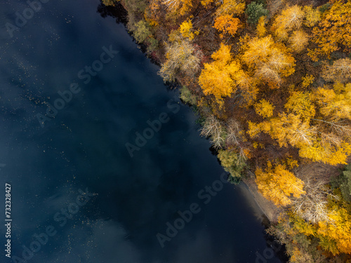 Autumn aerial drone look down view on river with colorful golden trees on riverbanks. Autumnal vibrant river